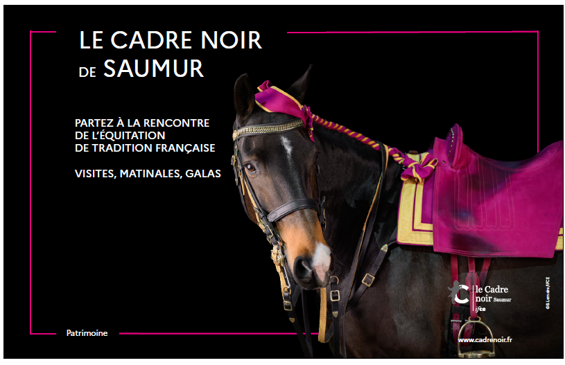 Le Cadre Noir - IFCE