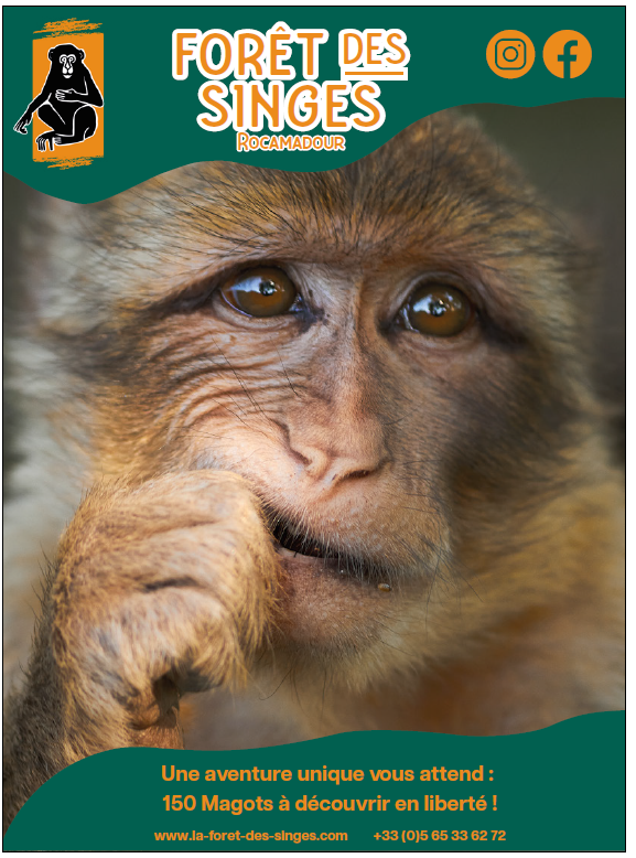 La Forêt des Singes - Rocamadour