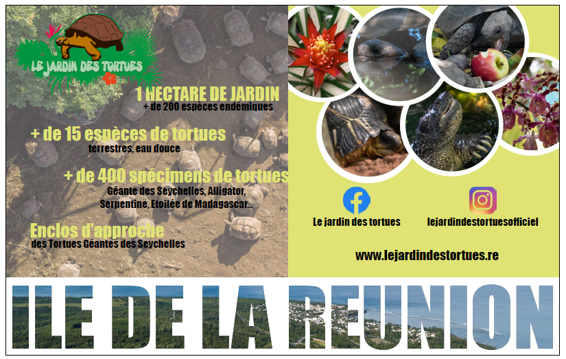 Le Jardin des Tortues