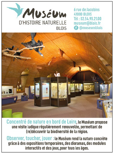 Muséum d'Histoire Naturelle de Blois