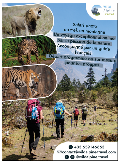 Wild Alpine Travel
